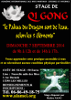 affiche stage QiGong