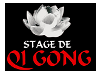 Stage Qi Gong